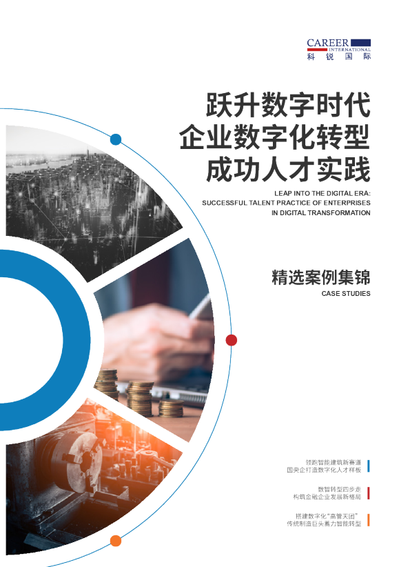 企业数字化转型成功人才实践