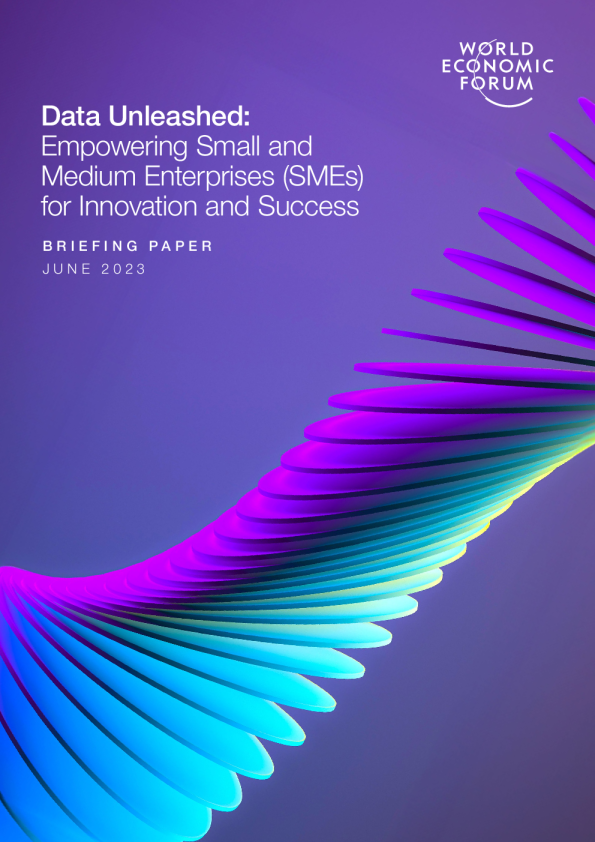 数据释放 ： 赋予中小企业创新和成功的权力