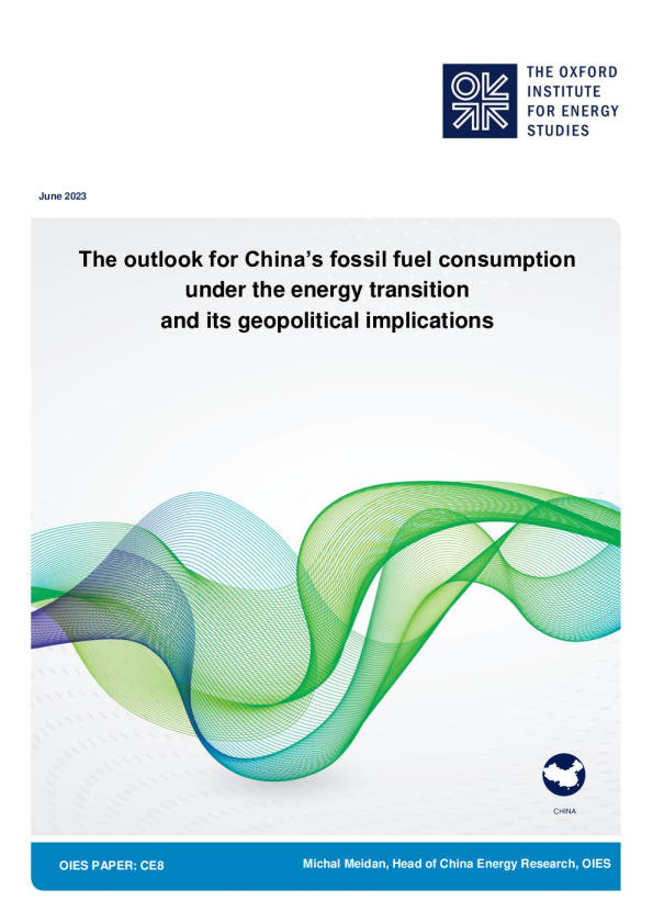 能源转型和地缘政治影响下中国化石燃料消费展望英