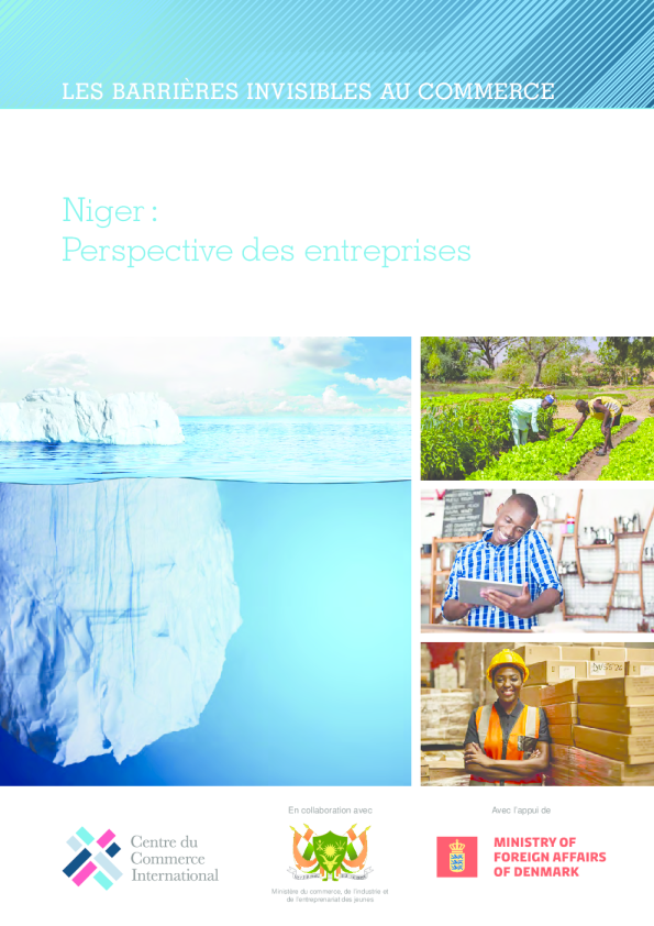 尼日尔：企业展望 —— 不可见商业壁垒