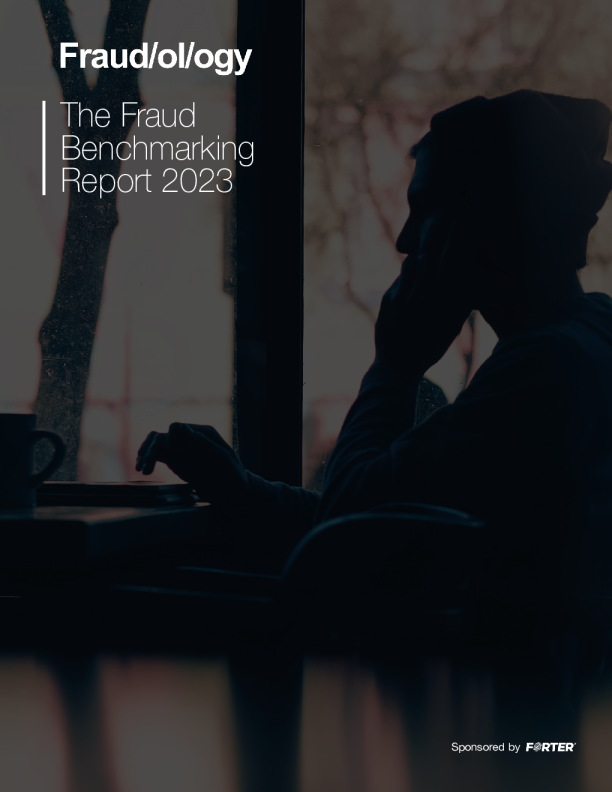 2023 年欺诈欺诈基准报告