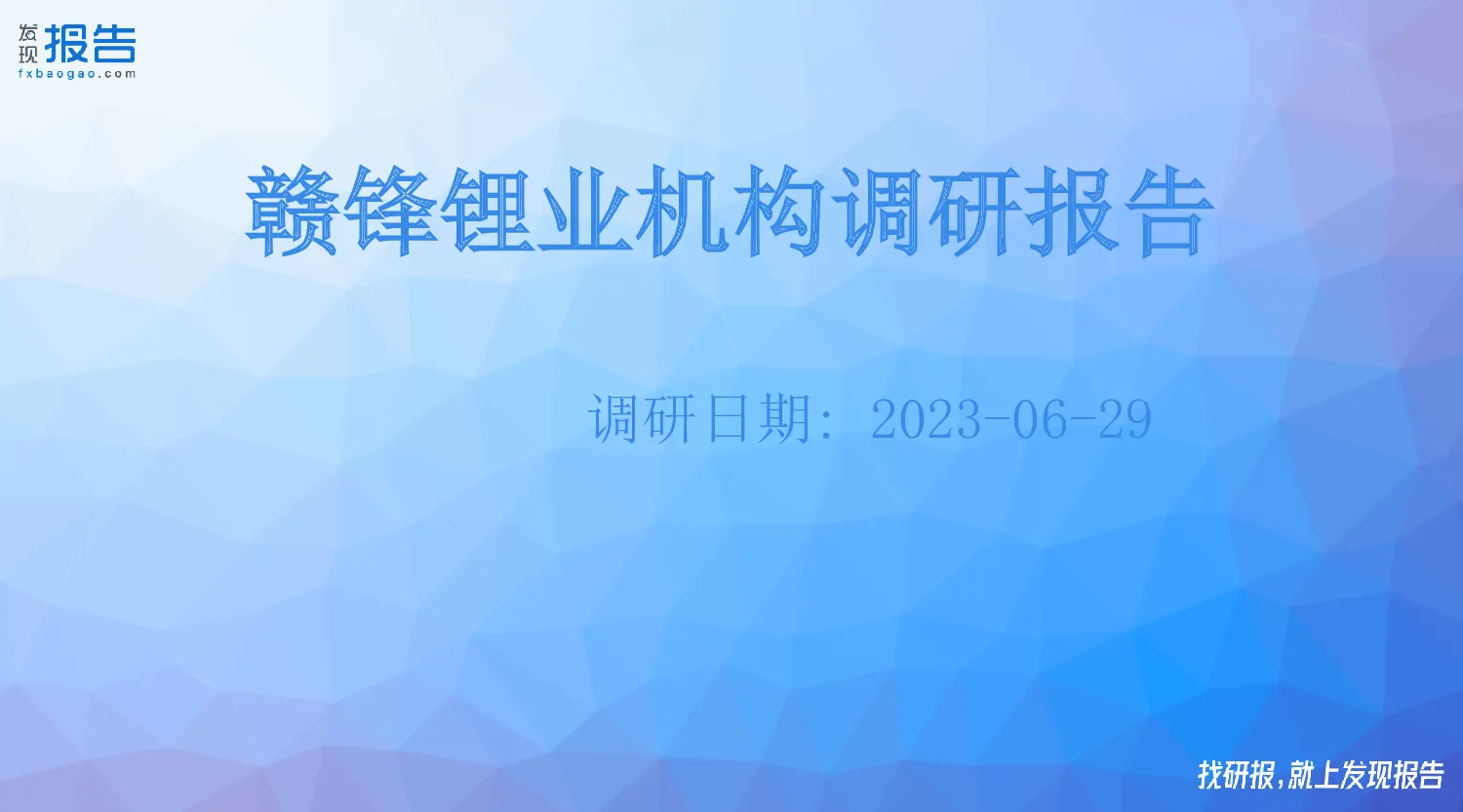 赣锋锂业机构调研纪要