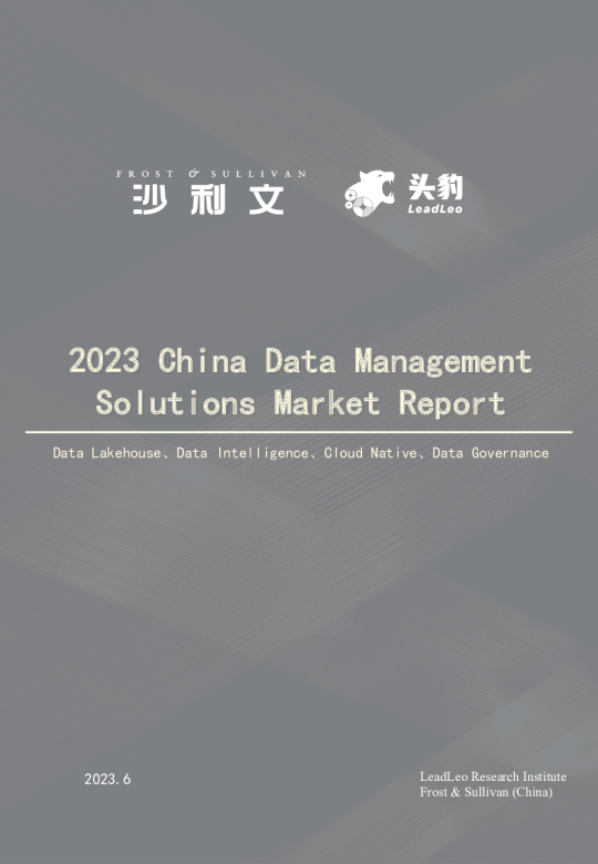 2023年中国数据管理解决方案市场报告