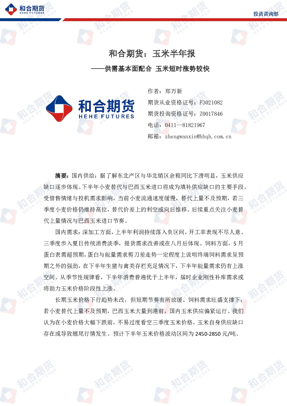 报告封面
