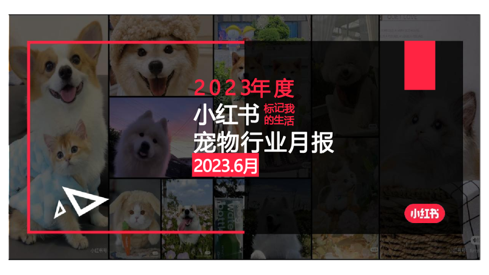 2023年度宠物行业月报