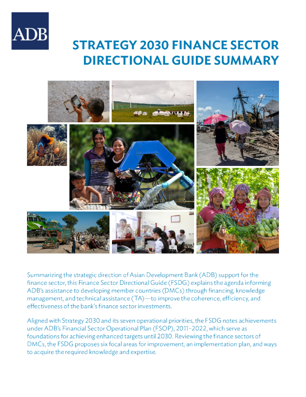 2030年战略金融部门方向指南摘要