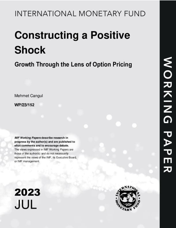 构建正冲击：从期权定价视角看增长