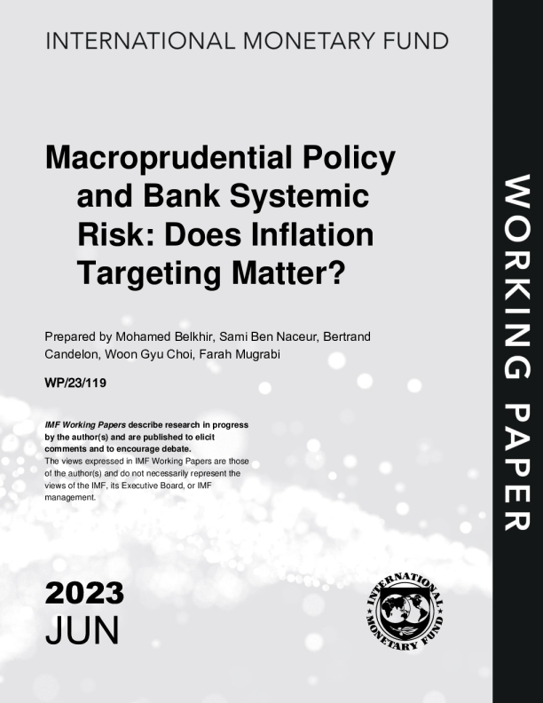 宏观审慎政策与银行系统性风险:通胀目标是否重要?