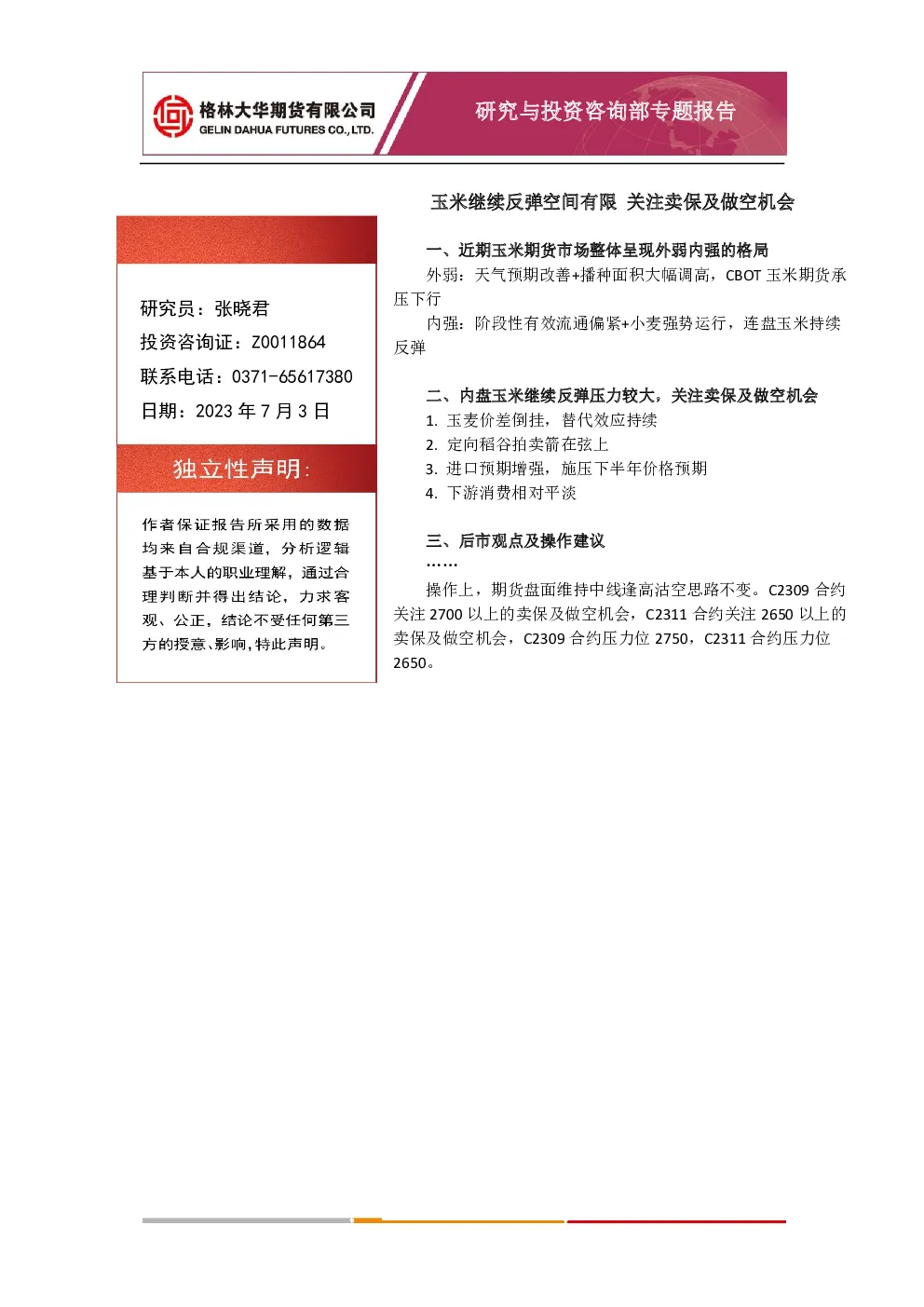 报告封面