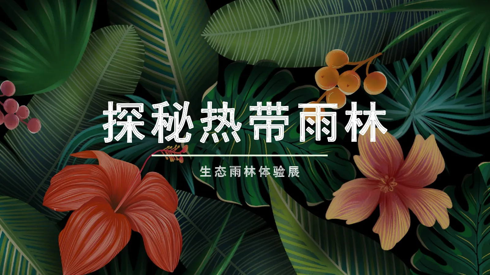 热带雨林展