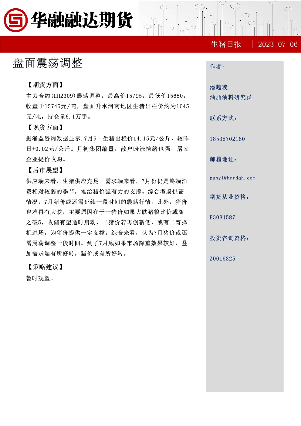 报告封面