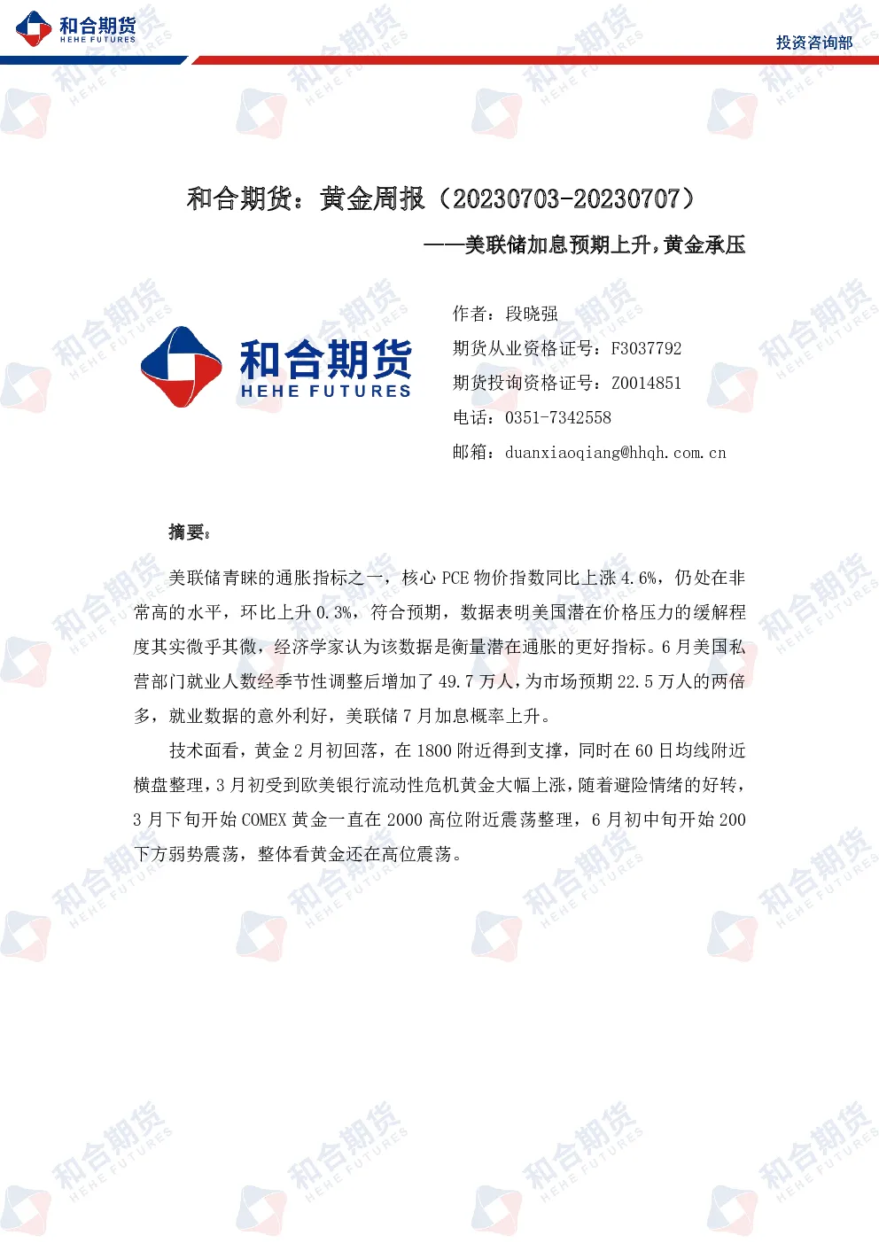 报告封面