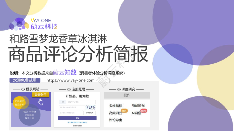 和路雪梦龙香草冰淇淋商品评论分析简报
