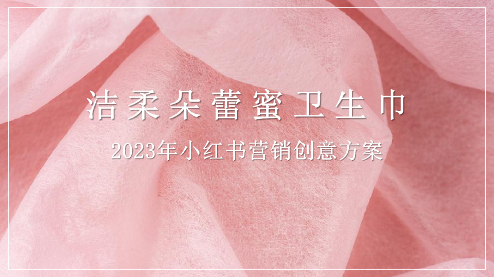 朵蕾蜜卫生巾2023年小红书营销创意方案