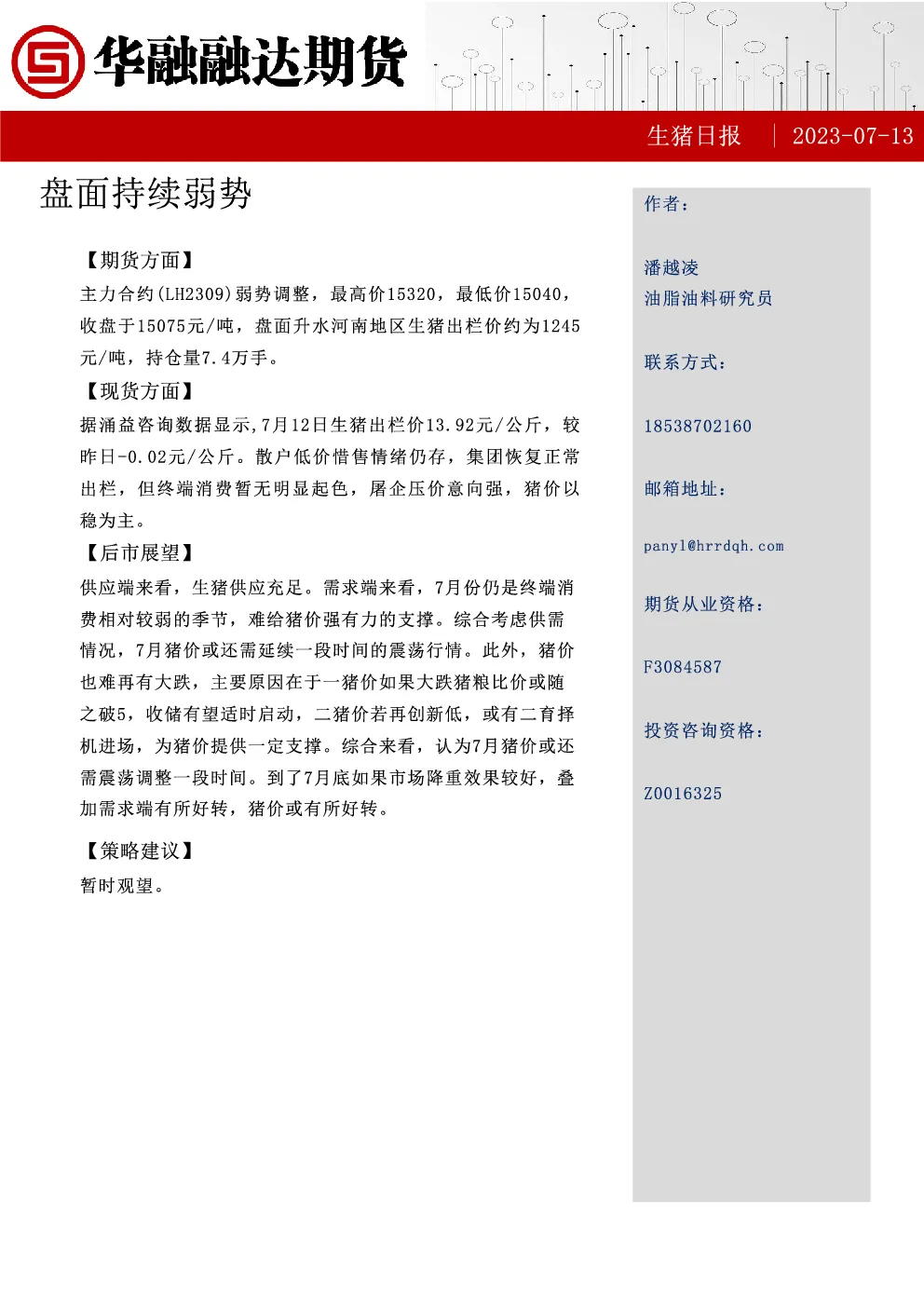 报告封面