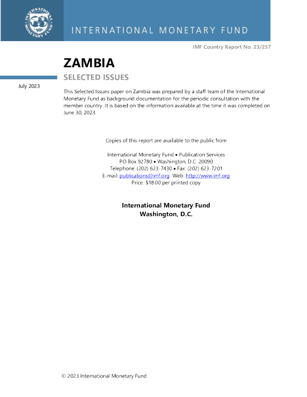 赞比亚: 选定问题