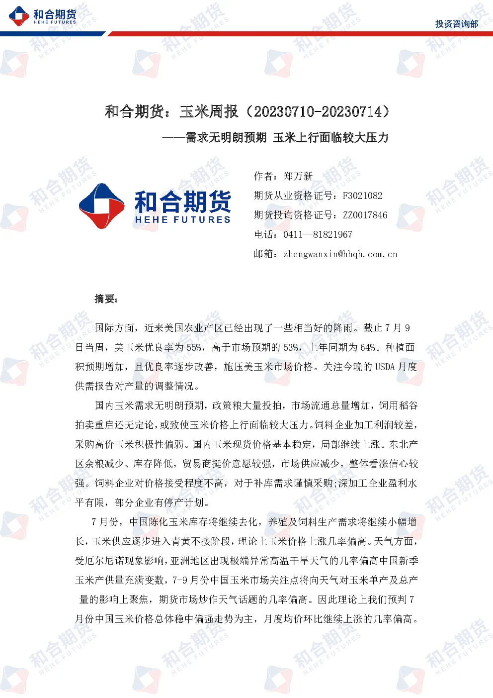 报告封面