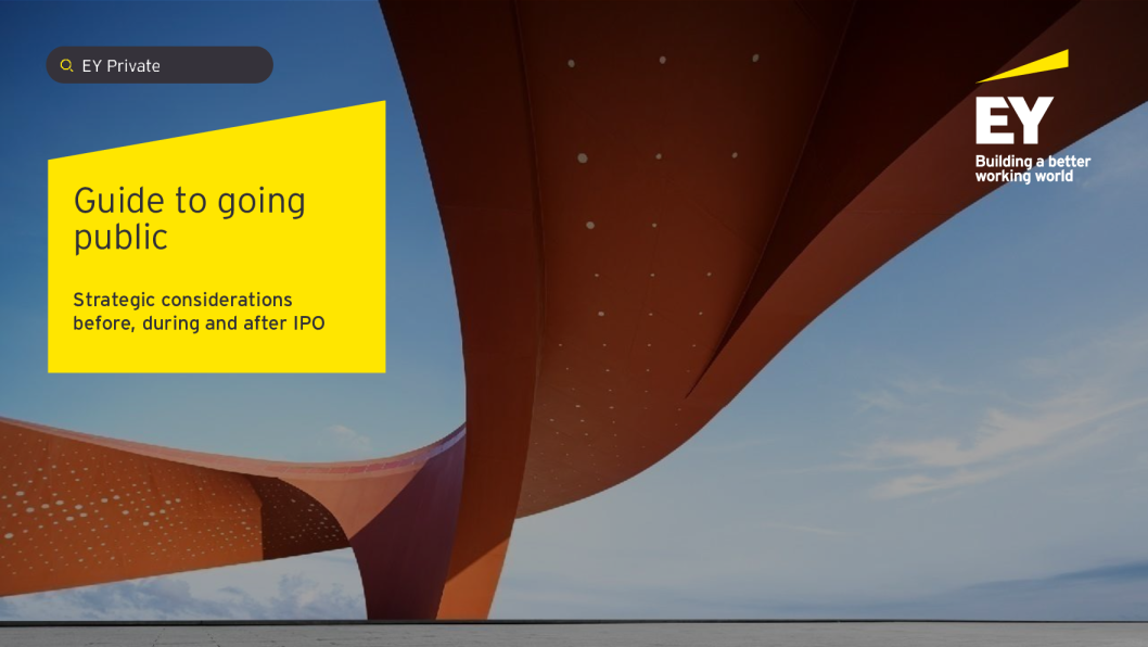 上市指南：IPO前后的战略考量