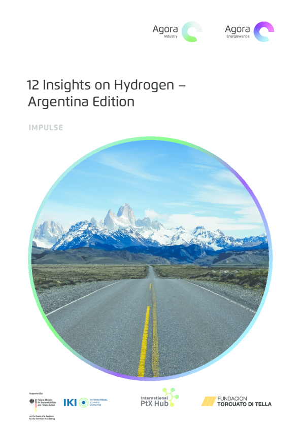 阿根廷氢能洞察