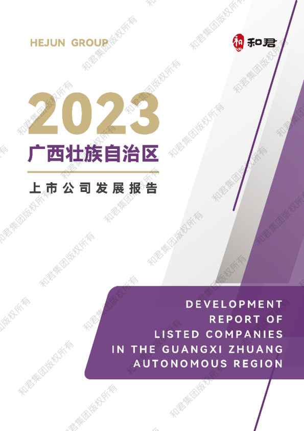 广西壮族自治区上市公司发展报告（电子阅读）