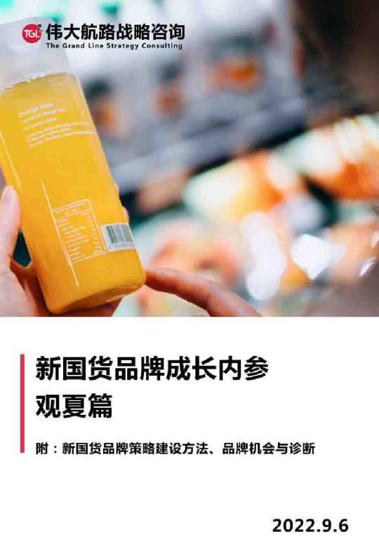 2022观夏品牌营销策略全案