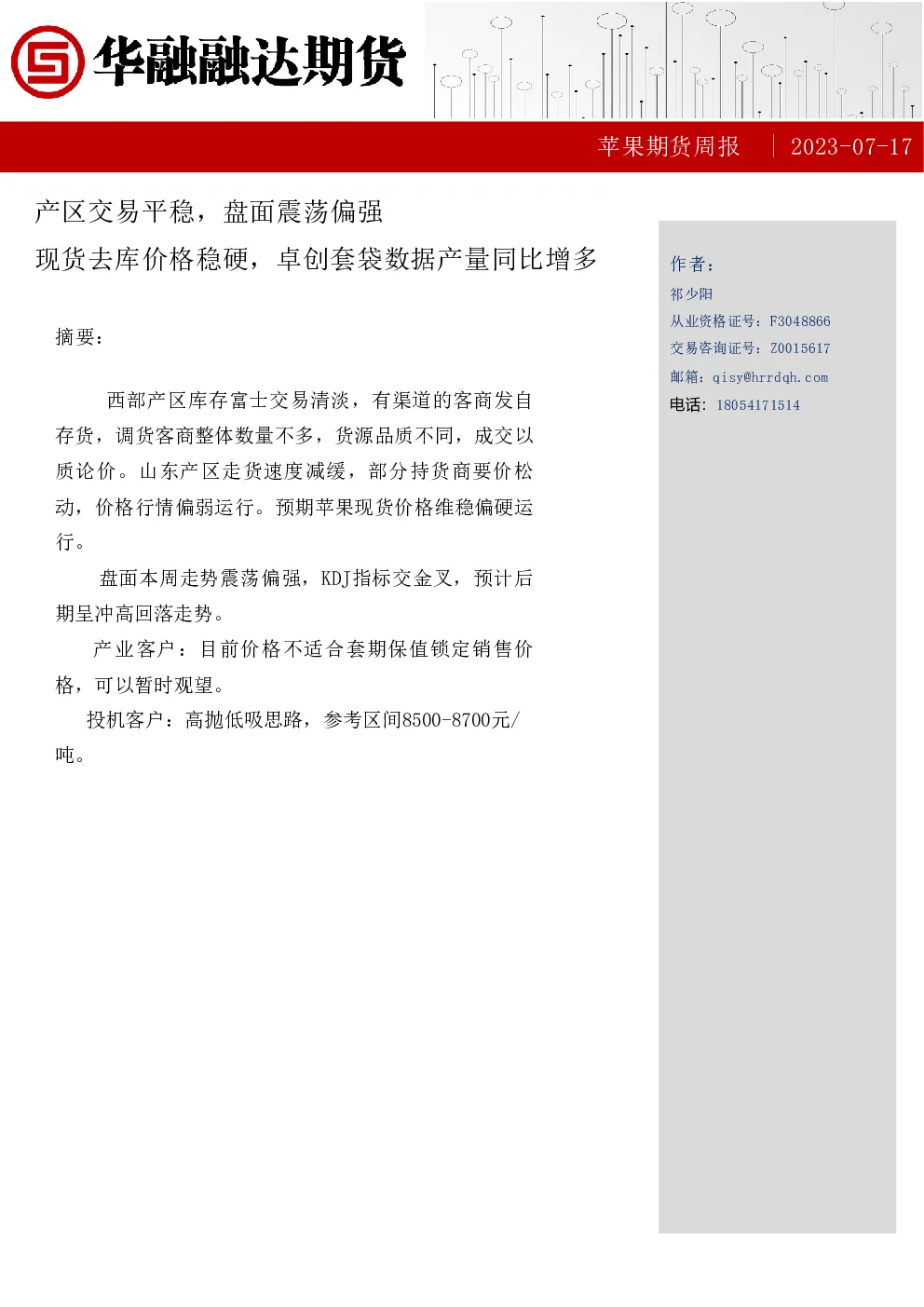 报告封面