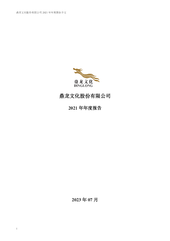 ST鼎龙：2021年年度报告（更新后）