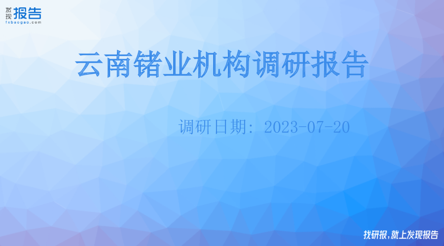 云南锗业机构调研纪要
