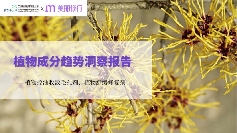 护肤行业植物成分趋势洞察报告：植物控油收敛毛孔剂、植物舒缓修复剂