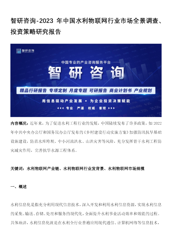 2023年中国水利物联网行业市场全景调查、投资策略研究报告
