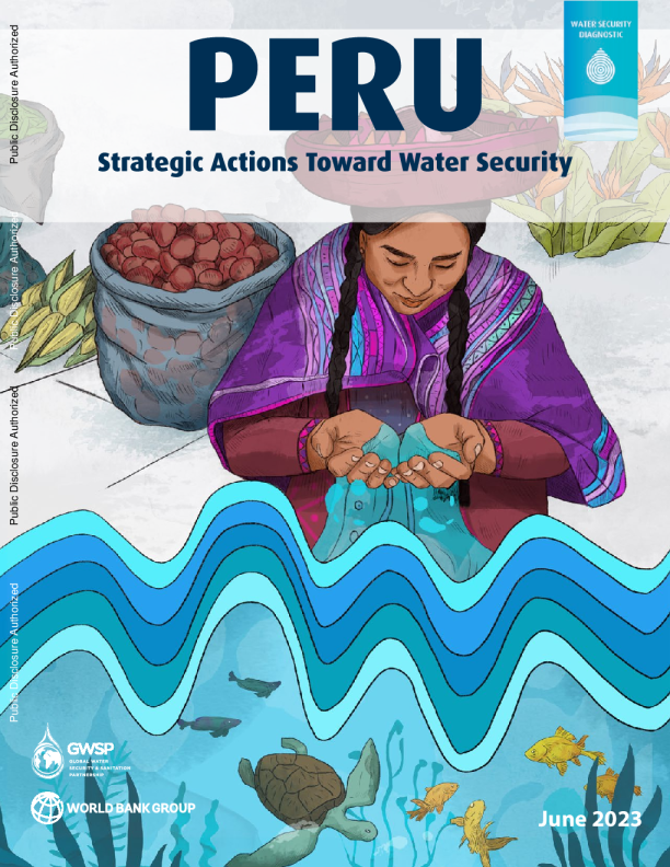 秘鲁 - 水安全战略行动