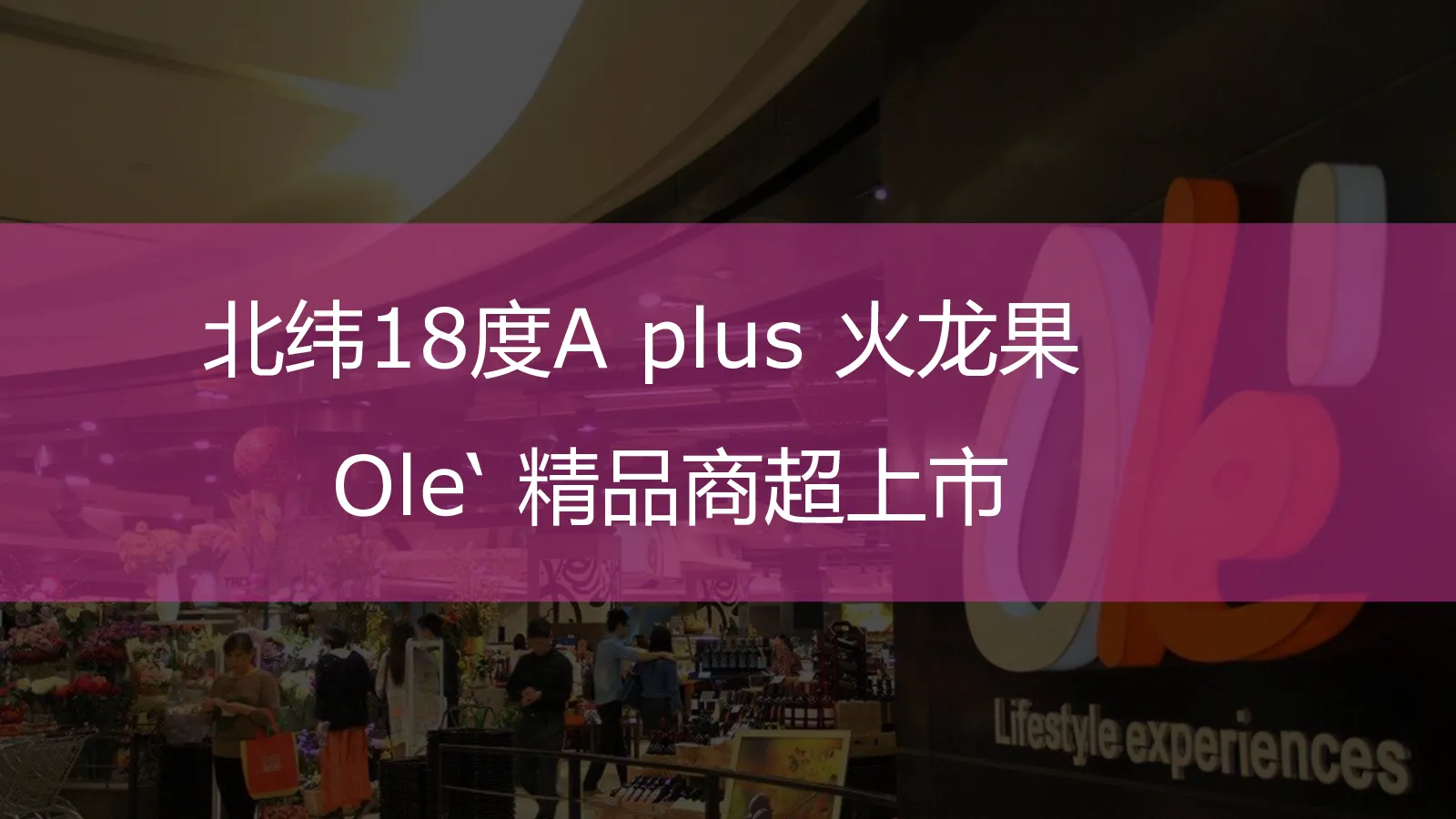 北纬18度A+ 火龙果上市方案