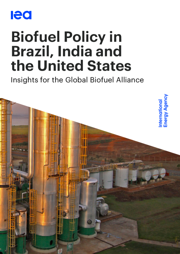 巴西、印度和美国生物燃料政策