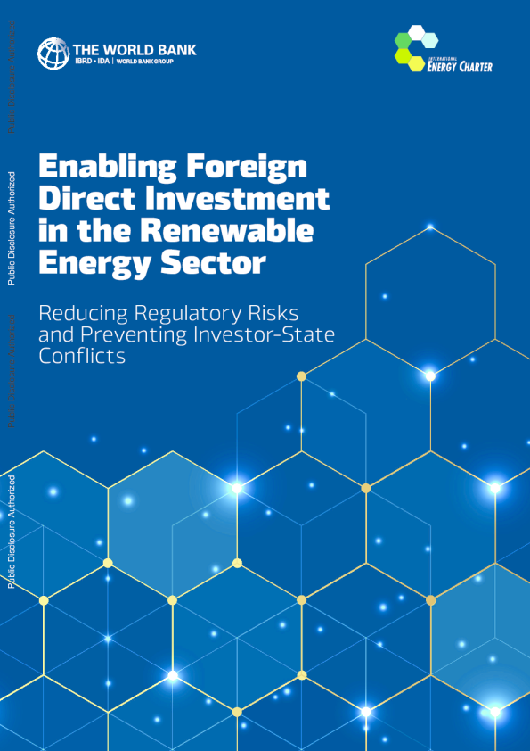 促进可再生能源领域的外国直接投资