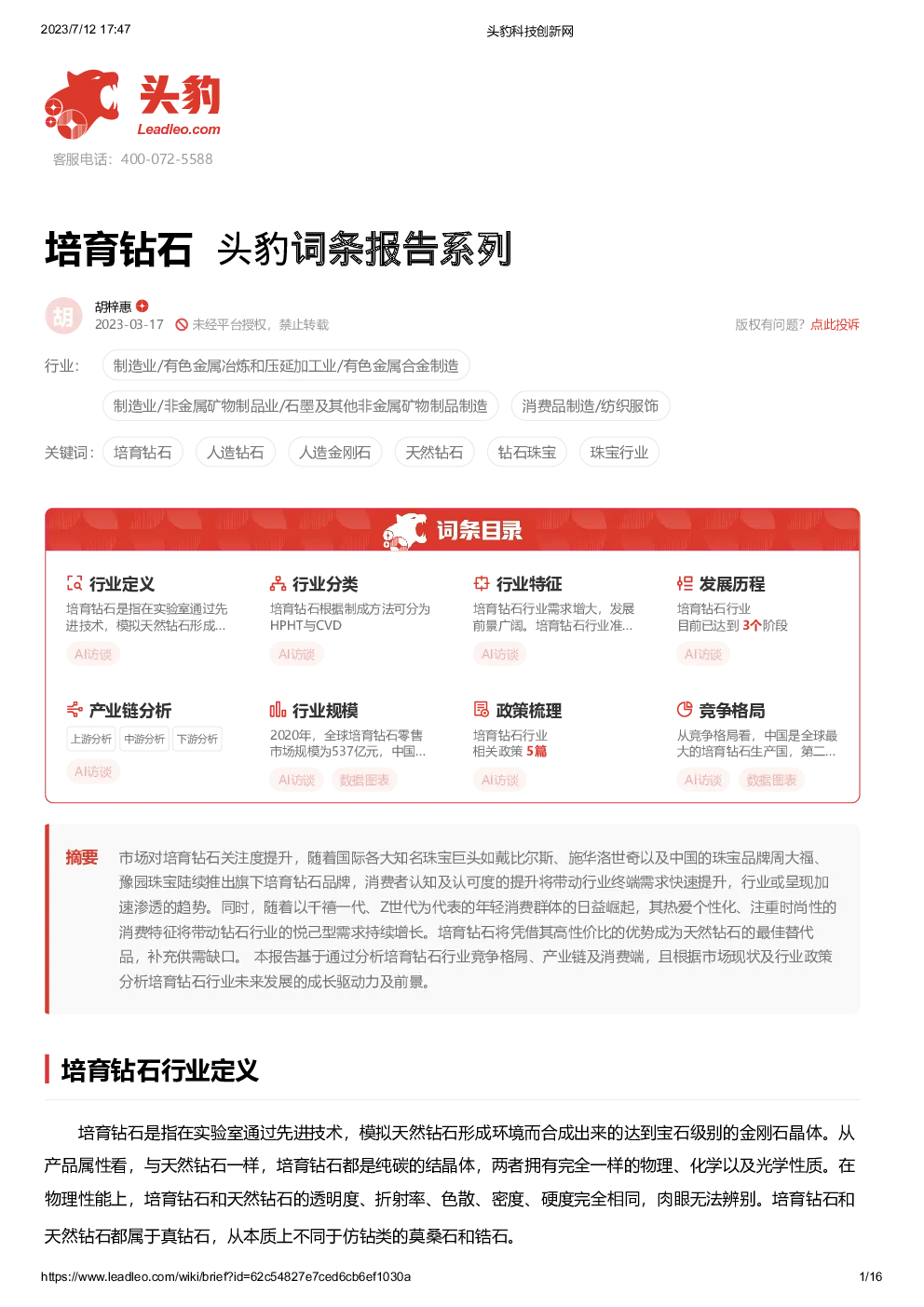 报告封面