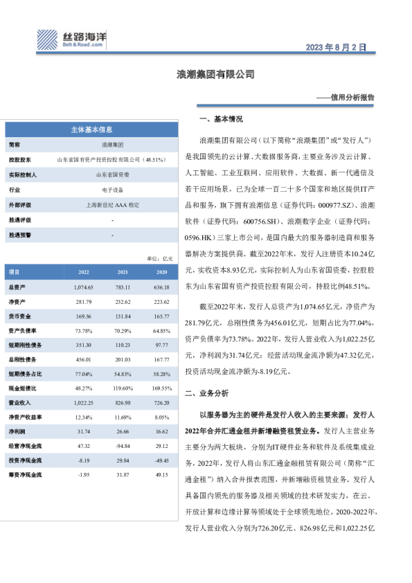 信用分析报告：浪潮集团有限公司