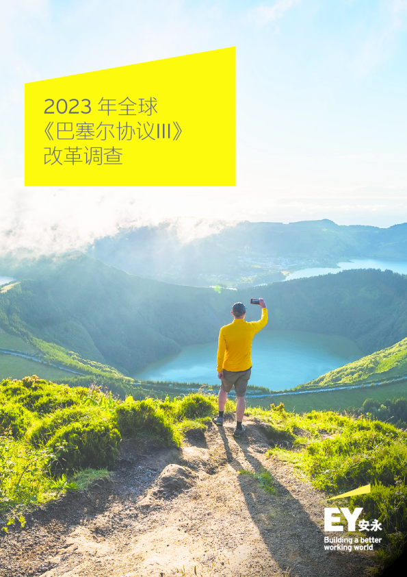 2023年全球巴塞尔协议III改革调查报告
