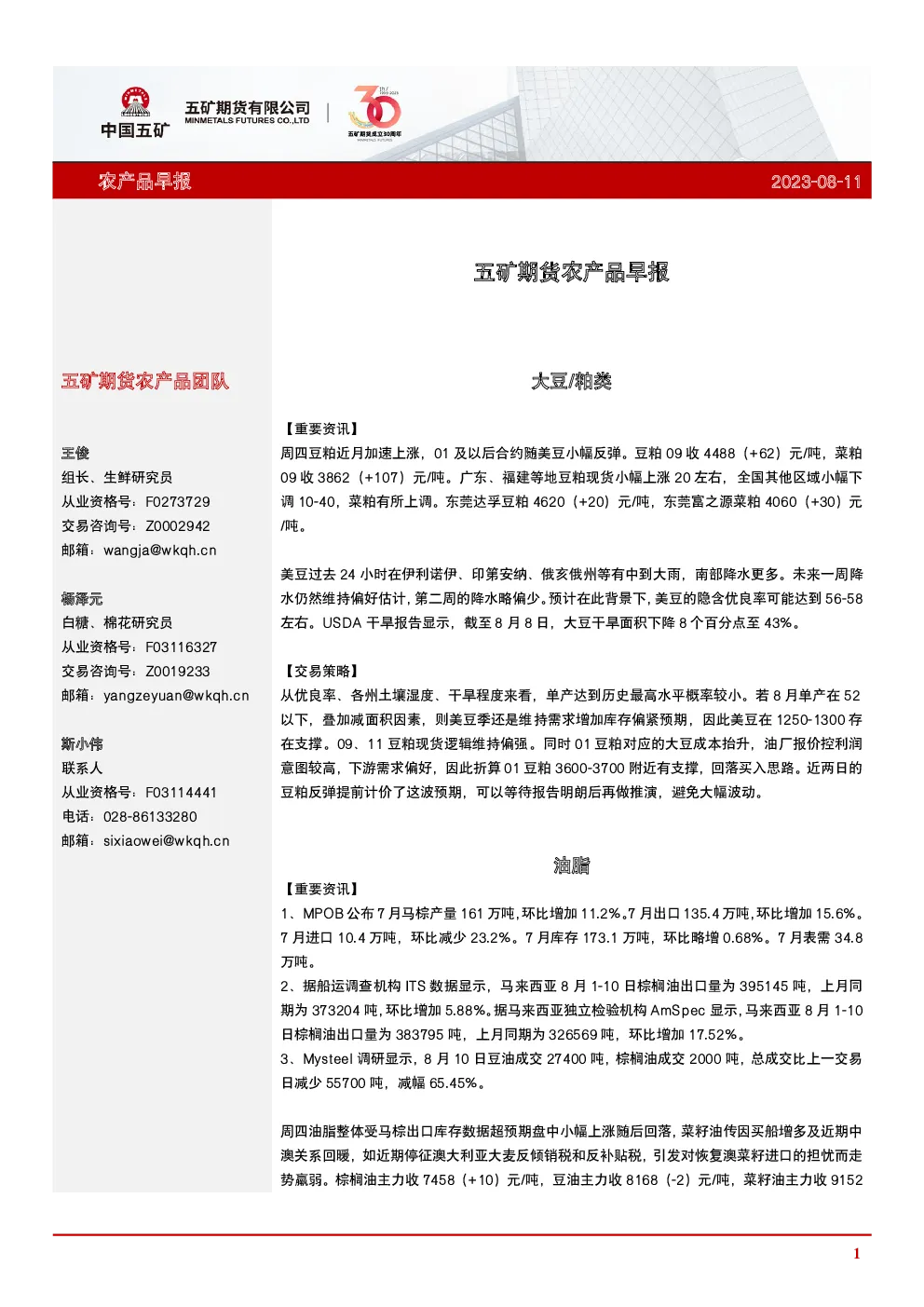 报告封面