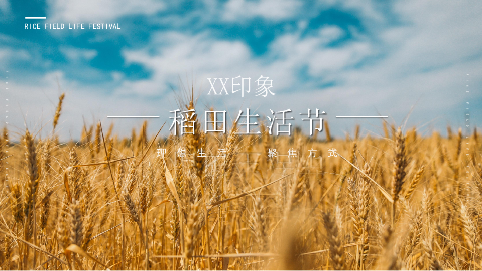 稻田生活节活动方案