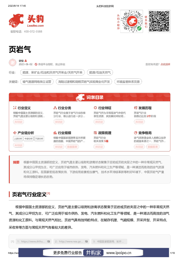 中国页岩气行业报告