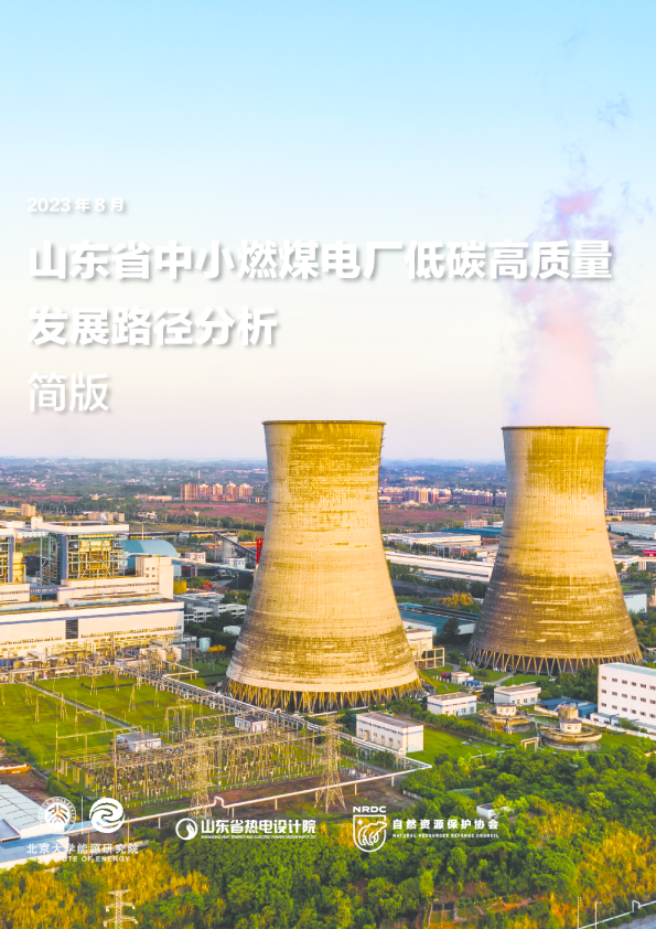 山东省中小燃煤电厂低碳高质量发展路径分析