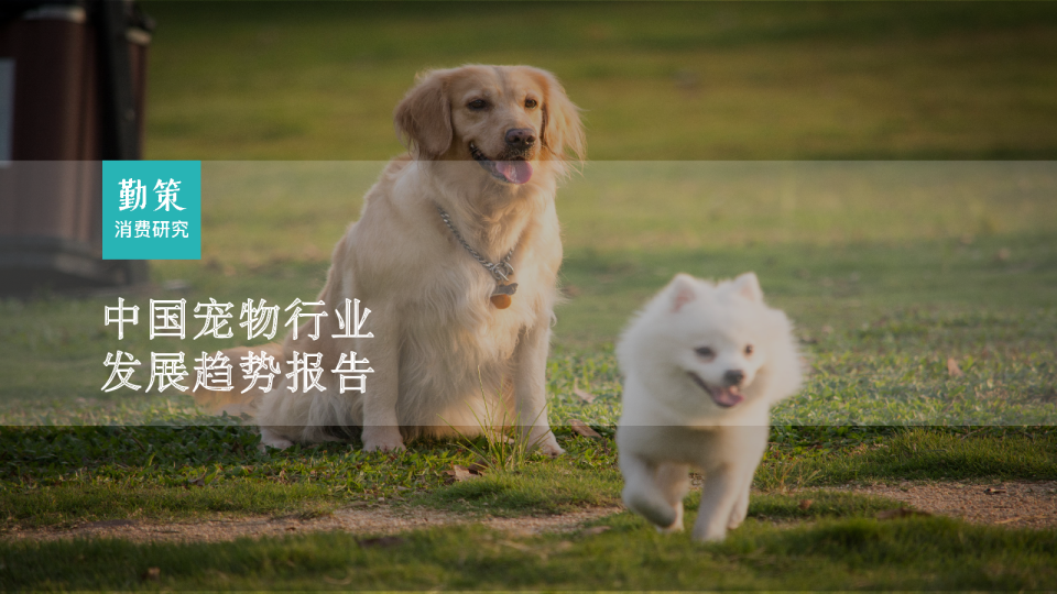 2023中国宠物行业发展趋势报告