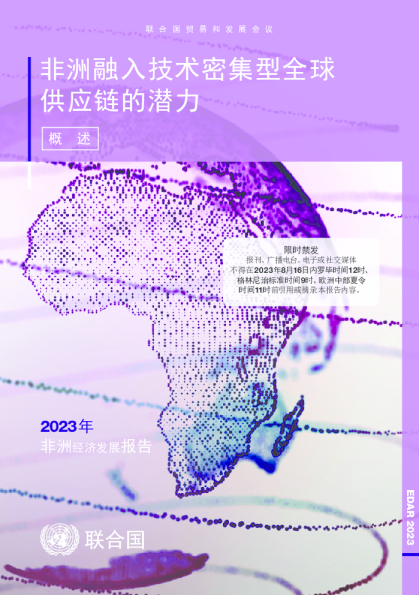 非洲融入技术密集型全球供应链的潜力