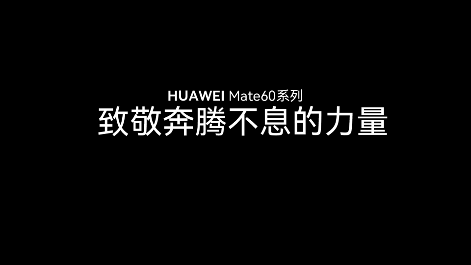 HUAWEI Mate60系列