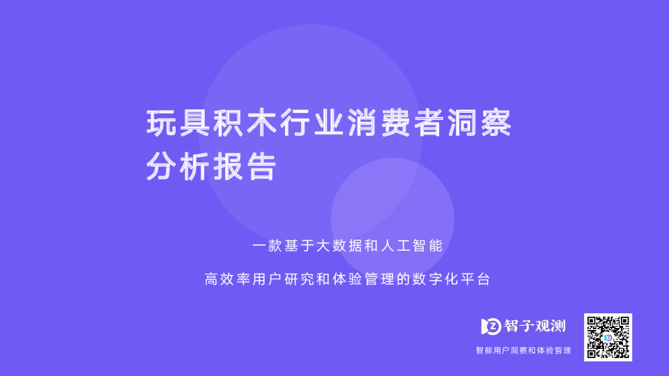 玩具积木市场消费者分析报告
