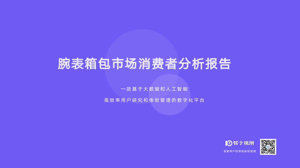 腕表箱包市场消费者分析报告