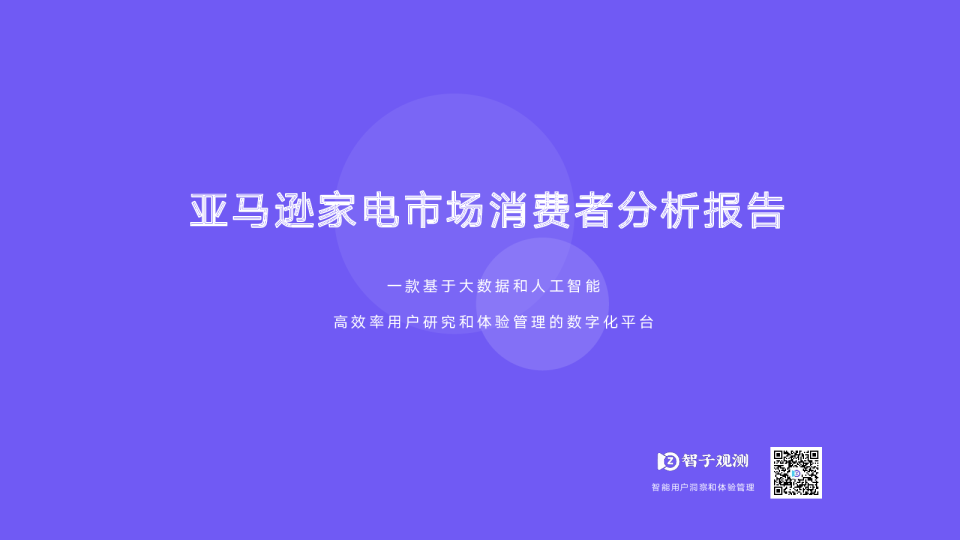 亚马逊家电市场消费者分析报告