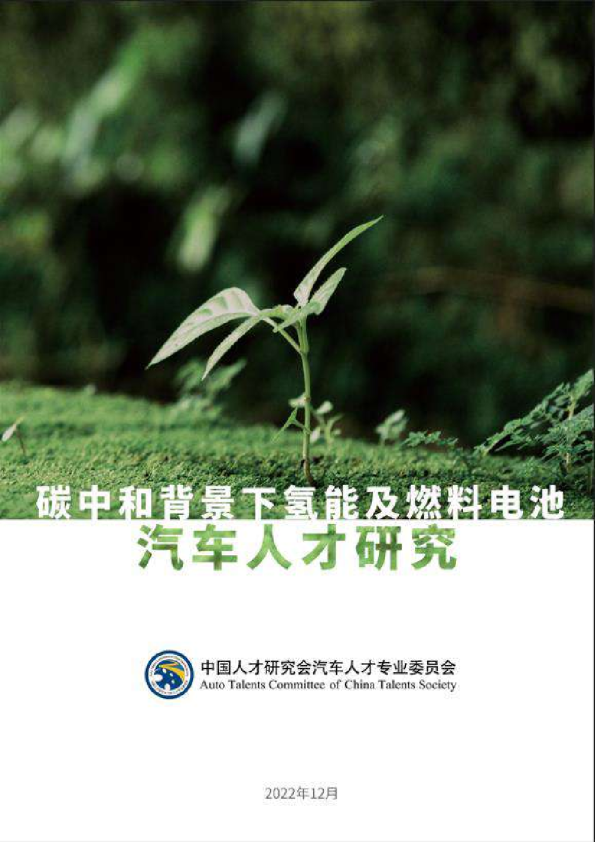 碳中和背景下氢能及燃料电池