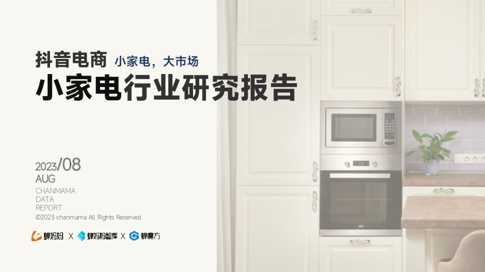 小家电行业报告