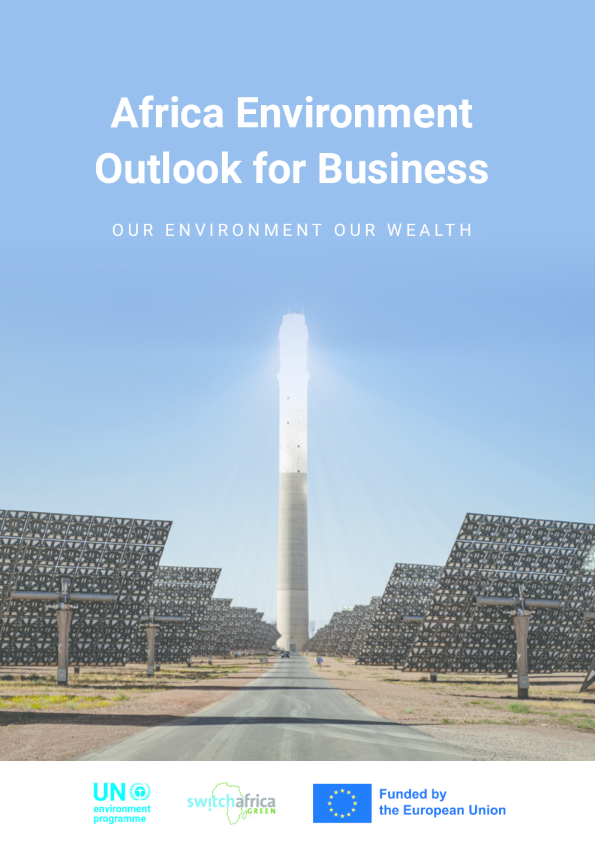Africa Environment Outlook for Business